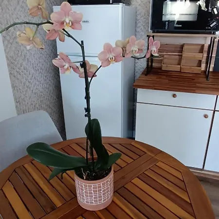 Meuble 1 Piece Equipe 2 Personnes 3* Brétignolles-sur-Mer